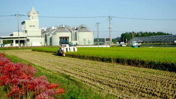 【花ひらく暮らしと地域―ＪＡ女性　四分の三世紀（8）】「わたし」に目覚める＜上＞いのちと健康を守って