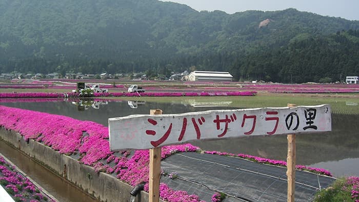 農協の役割 改めて認識【コロナ対策に学ぶ（9）】