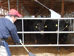 【ＪＡの挑戦/福島県・JA東西しらかわ】繁殖牛モデル農場で低コスト・多頭化へ