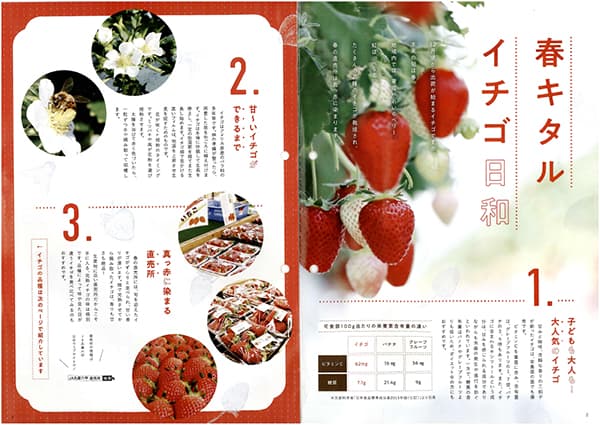 【ヒント＆ピント】 青果物 「旬」のいまが食べ時