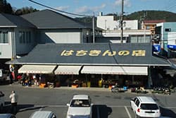 【「あったらいいね」を形に】ＪＡ改革の中での女性組織の役割