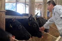 【インタビュー・1県1ＪＡの現場から】竹下正幸・ＪＡしまね代表理事組合長