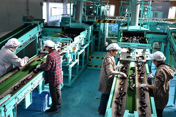 【現地レポート・ＪＡ土佐あき（高知県）】「一元集荷」と「共同計算」は農業振興策そのもの（前編）