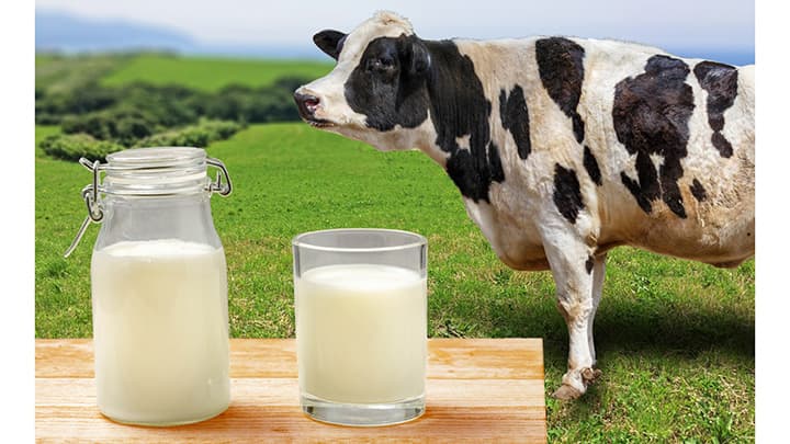 【クローズアップ：６月牛乳月間】コロナ禍　健康キーワードに酪農共感の輪　農政ジャーナリスト　伊本克宜