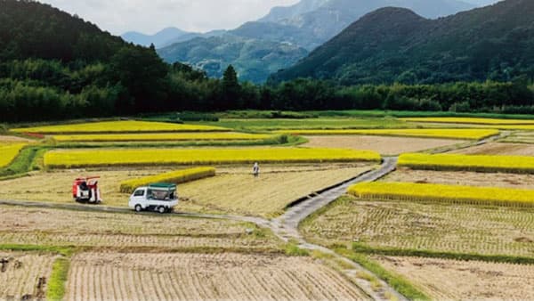 地域外から後継経営者　新たな集落営農へ　北陸農政局がシンポ