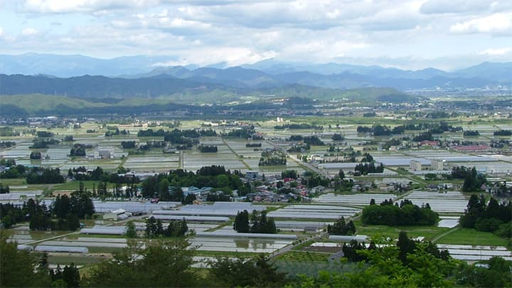 在庫・出口対策が必要－ＪＡグループ　水田農業基本的考え方