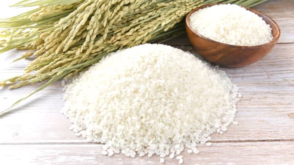 米の生産費高止まり　60kg1万5814円　24年産米