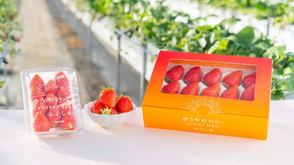 福島の新しいいちご「ゆうやけベリー」ＪＡ直売所などで試食販売フェア開催