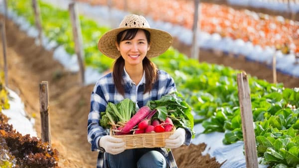 東京都日野市「援農・野菜栽培塾12期生」募集　援農ボランティアを養成