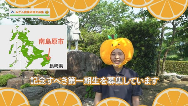 果樹産地化へ"みかんの農業研修生"募集中　29日まで　長崎県南島原市