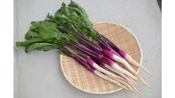 滋賀県の「近江日野産日野菜」がGI取得　農水省