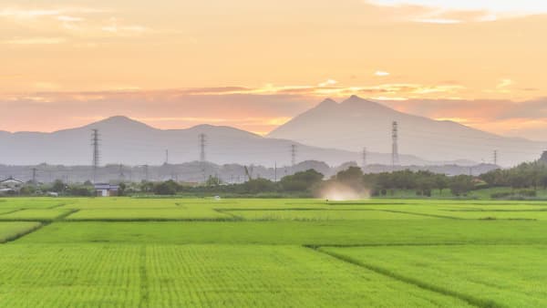 農地面積　1.1万ha減　目標面積下回る　2023年