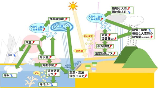 米は白未熟粒増え、乳牛は乳量が減り、ミカン産地は大幅減　環境省が「気候変動影響評価報告書」　自給率向上の重要性示唆