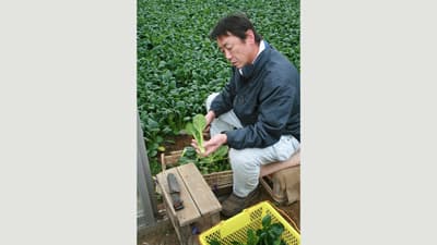 【特集：許すな命の格差　築こう協同社会】現地ルポ：ＪＡ 東京スマイル（2）眞利子伊知郎組合長に聞く　「都会の産地」守るＪＡ に