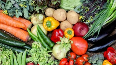 事業系食品ロス量　削減目標を達成　2022年度　農水省