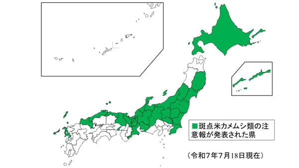 斑点米カメムシ類　全国で多発　農水省
