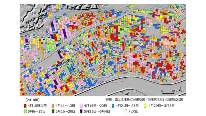 水田の代かき時期を衛星データで高精度広域把握　農研機構