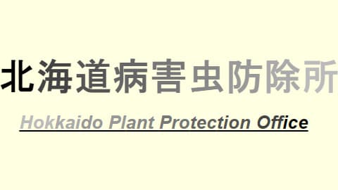「ツマジロクサヨトウ」を北海道で初確認　北海道病害虫防除所