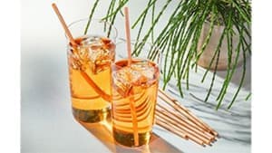 「地球の森守りプロジェクト」を始動　アキュラホームがSDGsの観点で