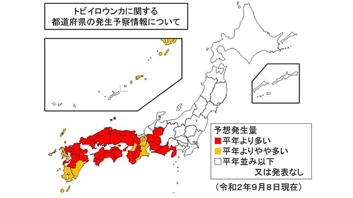 トビイロウンカ東海以西で発生目立つ　9月9日病害虫発生予報　　農水省