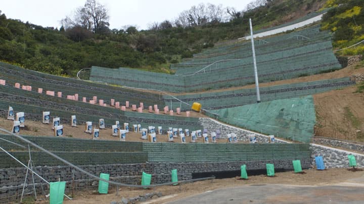 【特集：東日本大震災10年　命を守る協同組合】柑きつ農家の復興意欲を後押し　西日本豪雨災害（2018年7月）とＪＡえひめ南