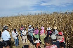 【第1回メキシコ】ＮＡＦＴＡで疲弊進む－トランプ発言の背後にあるもの－