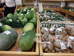 第5回　地方からの主体的活動を