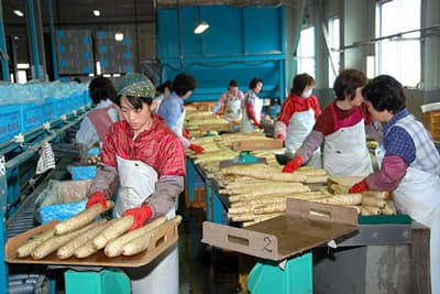 消費者は農協事業利用で自給率向上（２）【小林光浩・十和田おいらせ農協代表理事専務】