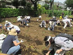 【現地ルポ】三鷹市（東京都） 21世紀型都市農業を拓く ＪＡ青壮年部が先駆者