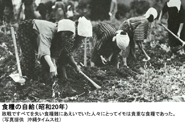 第1回　食糧を農産物貿易に依存する危うさ【普天間朝重ＪＡおきなわ代表理事専務】