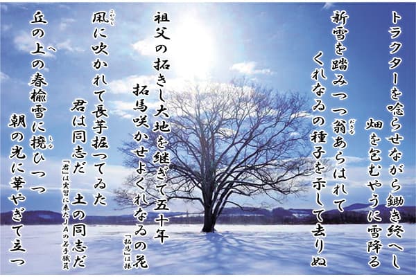 くれなゐの種子