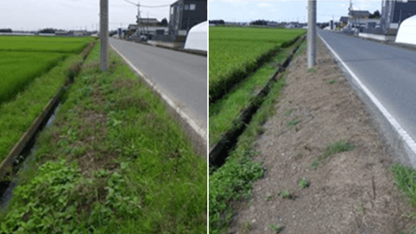 「C-DZ作戦」で楽に水田畦畔の雑草管理【結果報告】　北興化学工業株式会社