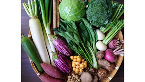 【サステナ防除のすすめ2025】秋冬野菜の病害虫防除　異常気象こそ先手対応を