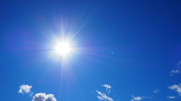 これからが防除の正念場ーいつもと違う夏が来る