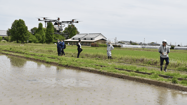 新たな水稲用除草剤「サキガケ楽粒」をドローンで散布　省力化を実感　北興化学工業