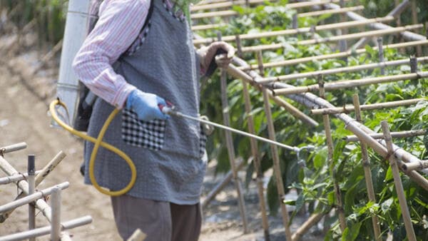 適用拡大情報「ウララDF」　石原バイオサイエンス