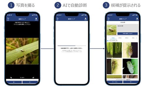 営農支援システム「KSAS」に病害虫・雑草AI診断機能を追加　日本農薬が提供するAIがスマホ画像から自動診断　日本農薬