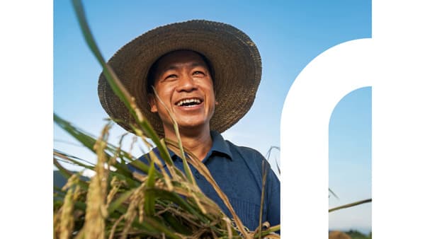 BASFと日産化学が戦略的提携　新殺虫剤「Prexio Active」日本の水稲生産者へ提供