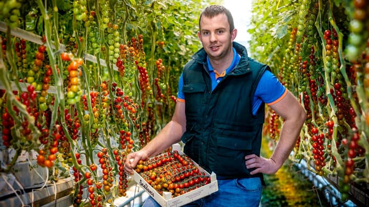 環境負荷の少ない新規殺虫成分　登録申請を豪州・韓国で開始　BASF