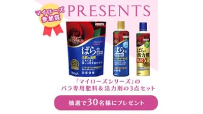 バラの写真投稿で「マイローズシリーズばら用肥料セット」プレゼント　住友化学園芸