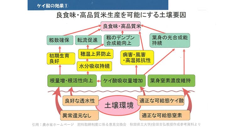 土づくり特集・肥料取締法を改正　地力の回復へ（１）　デンカ（株）技術顧問　吉田吉明・技術士【現場で役立つ農薬の基礎知識2020】