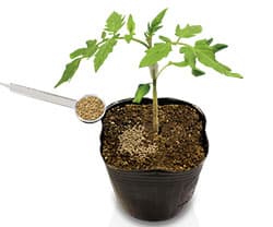 ミネクトシリーズ3剤登場◆シンジェンタ ジャパン（株）