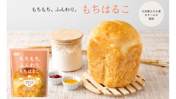 希少な強力系もち小麦「モチハルカ」使用　パン用小麦粉「もちはるこ」発売　熊本製粉