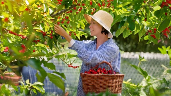 旅で山形の農業を応援「猫の手マッチング旅」10日から予約開始　日本の宿古窯