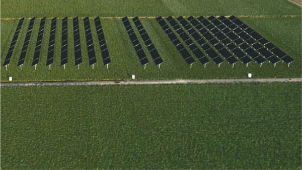 農業と再生可能エネルギー発電両立へ　次世代営農型太陽光発電所を徳島に建設　出光興産