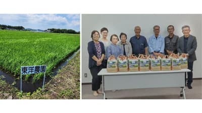 田植えを通じて社会貢献活動　東洋埠頭