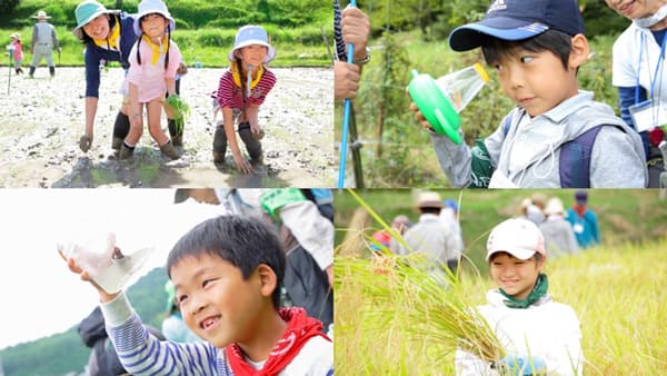 宝酒造「田んぼの学校」　4年ぶり現地開催　参加者を募集開始
