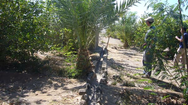 東京農業大学　生産環境工学科で実践的な環境教育　新カリキュラム展開