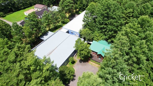 食用コオロギの「クリケットファーム」7000万円超の資金調達を実施