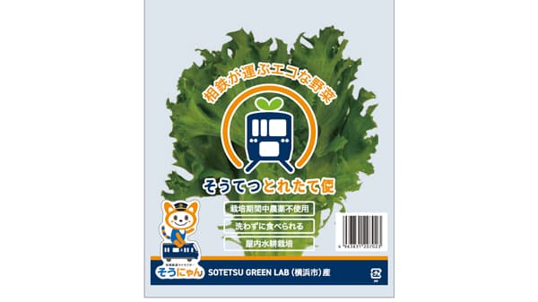相鉄ブランド野菜「そうてつとれたて便」販売開始「貨客混載」輸送も実施